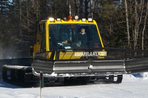 The yellow groomer